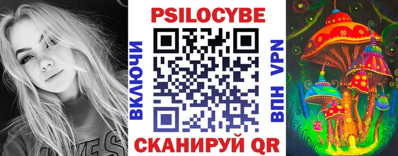как найти закладки  Нязепетровск  Псилоцибиновые грибы Psilocybine cubensis 